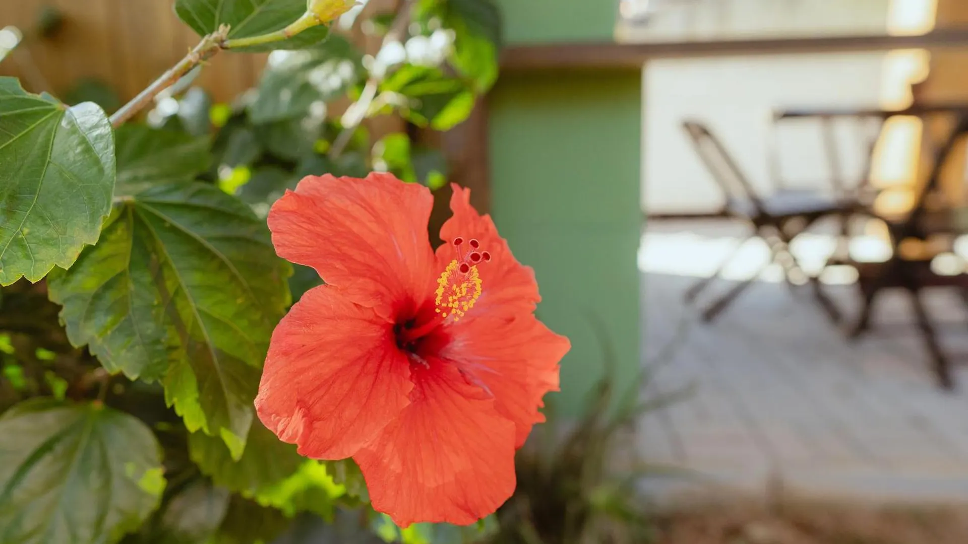 Eco Villa Rosa Norte Imbituba  Holiday home Imbituba (Santa Catarina)